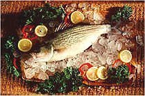 Richtige Ernährung bei Depressionen: Reichlich Fisch und Kohlenhydrate lindern die
         Beschwerden  heilen können sie jedoch nicht