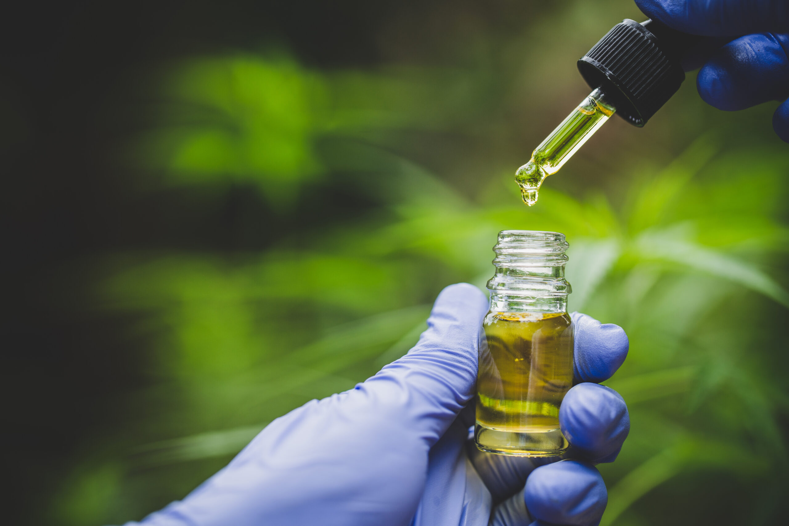 Was Forschende über die Wechselwirkung von THC Produkten und dem menschlichen Nervensystem wissen